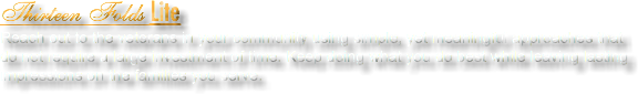 Thirteen Folds Lite
Reach out to the veterans in your community using simple, yet meaningful approaches that do not require a large investment of time. Keep doing what you do best while leaving lasting impressions on the families you serve.